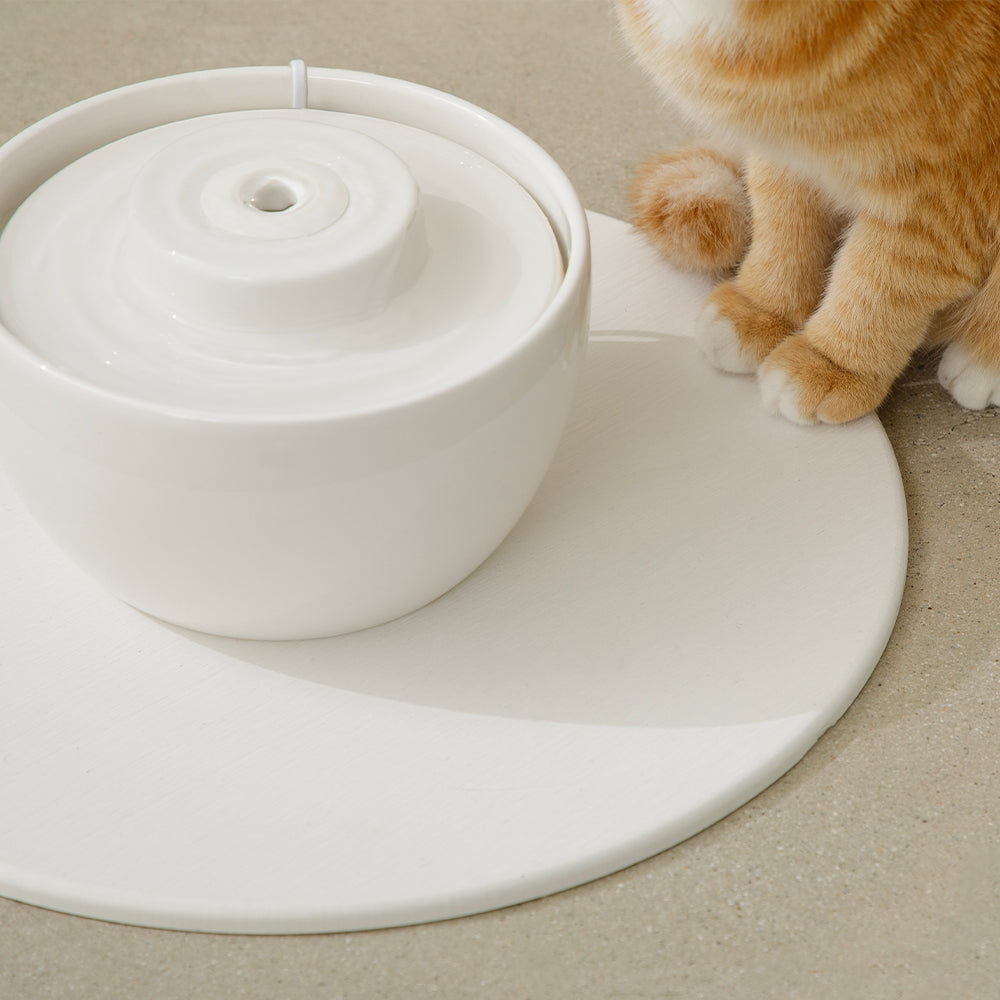 DUIT Duit Wave Pot Cat Dog Ceramic Water Feeder A Type