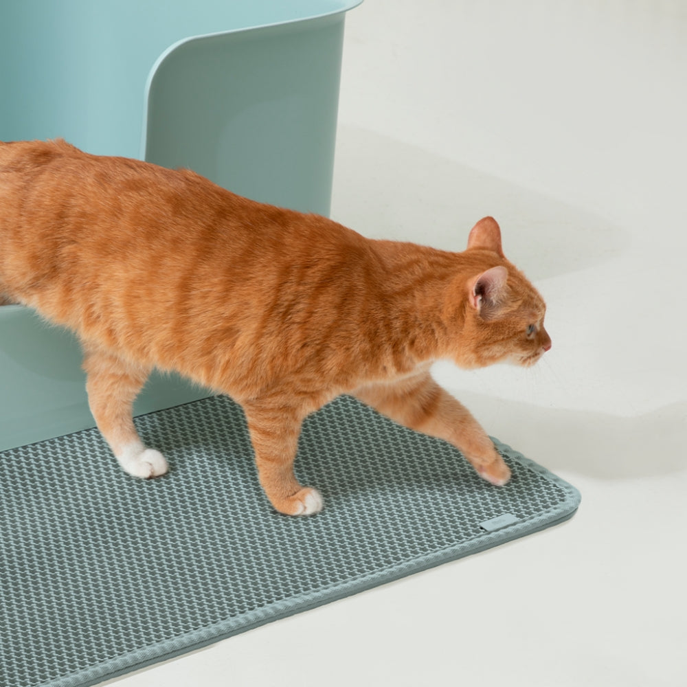 DUIT Doit Pupu Mat M Cat Toilet Desertification Prevention