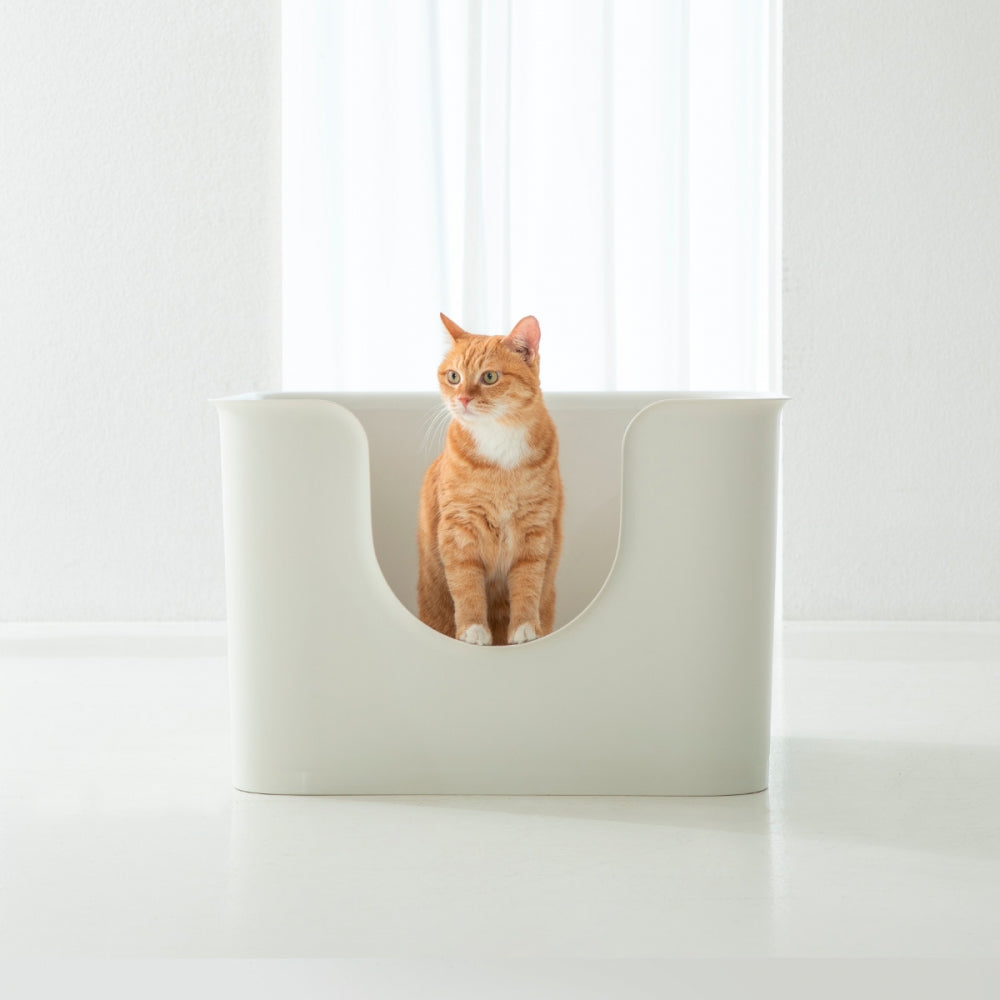 DUIT Duit Poo-Fu Box Cube Cat Large Toilet